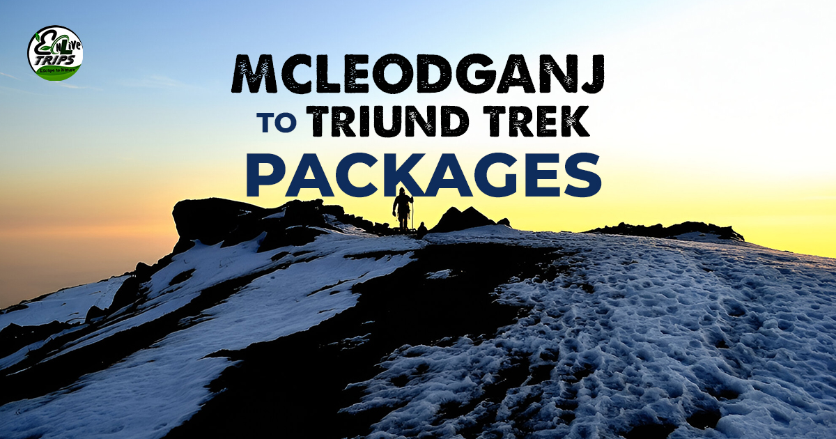 Mcleodganj Triund Trek in Winter (December, January, February): A memorable snow trek